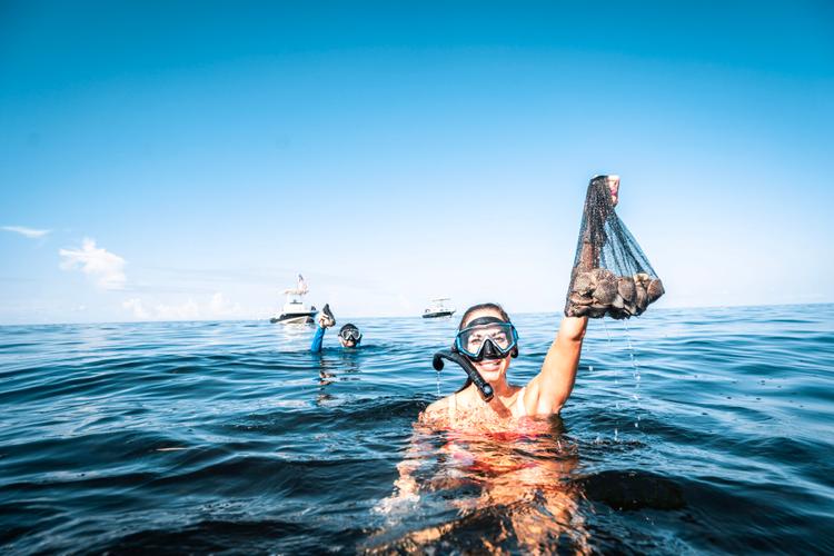 Florida’s Sports Coast image Florida’s Sports Coast image