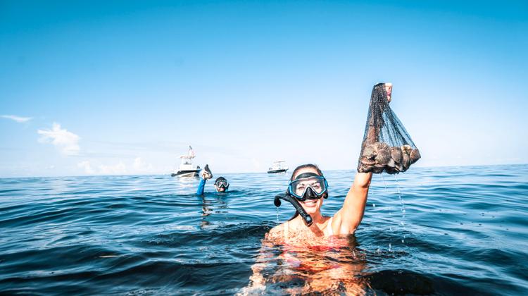 Florida’s Sports Coast image Florida’s Sports Coast image