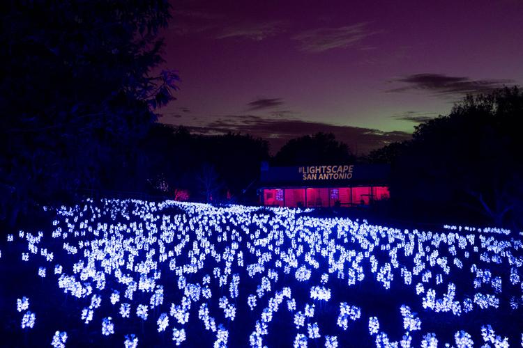 Lightscape at the San Antonio Botanical Garden image Lightscape at the San Antonio Botanical Garden image
