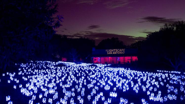 Lightscape at the San Antonio Botanical Garden image